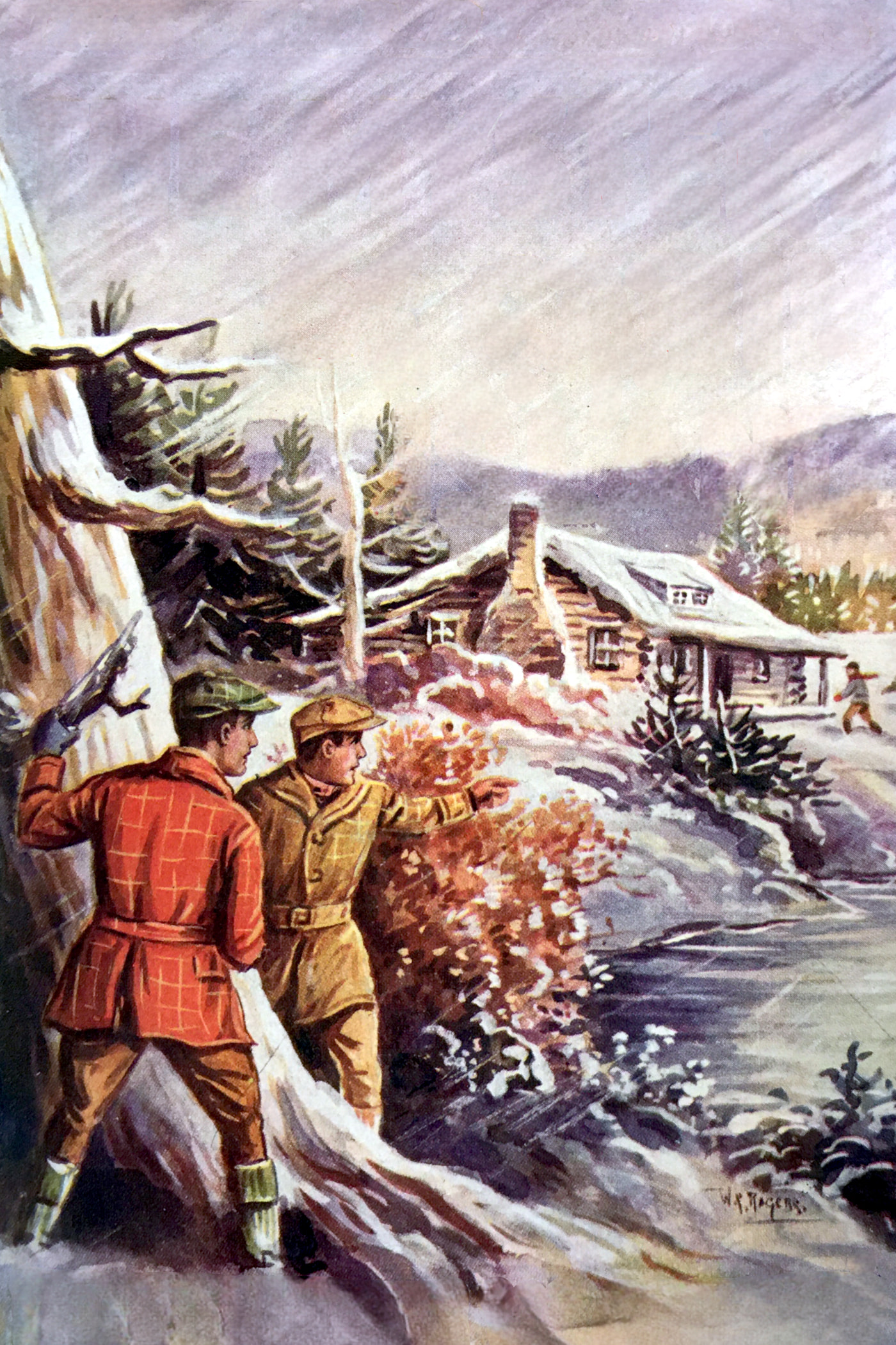 Cover for The Mystery of Cabin Island