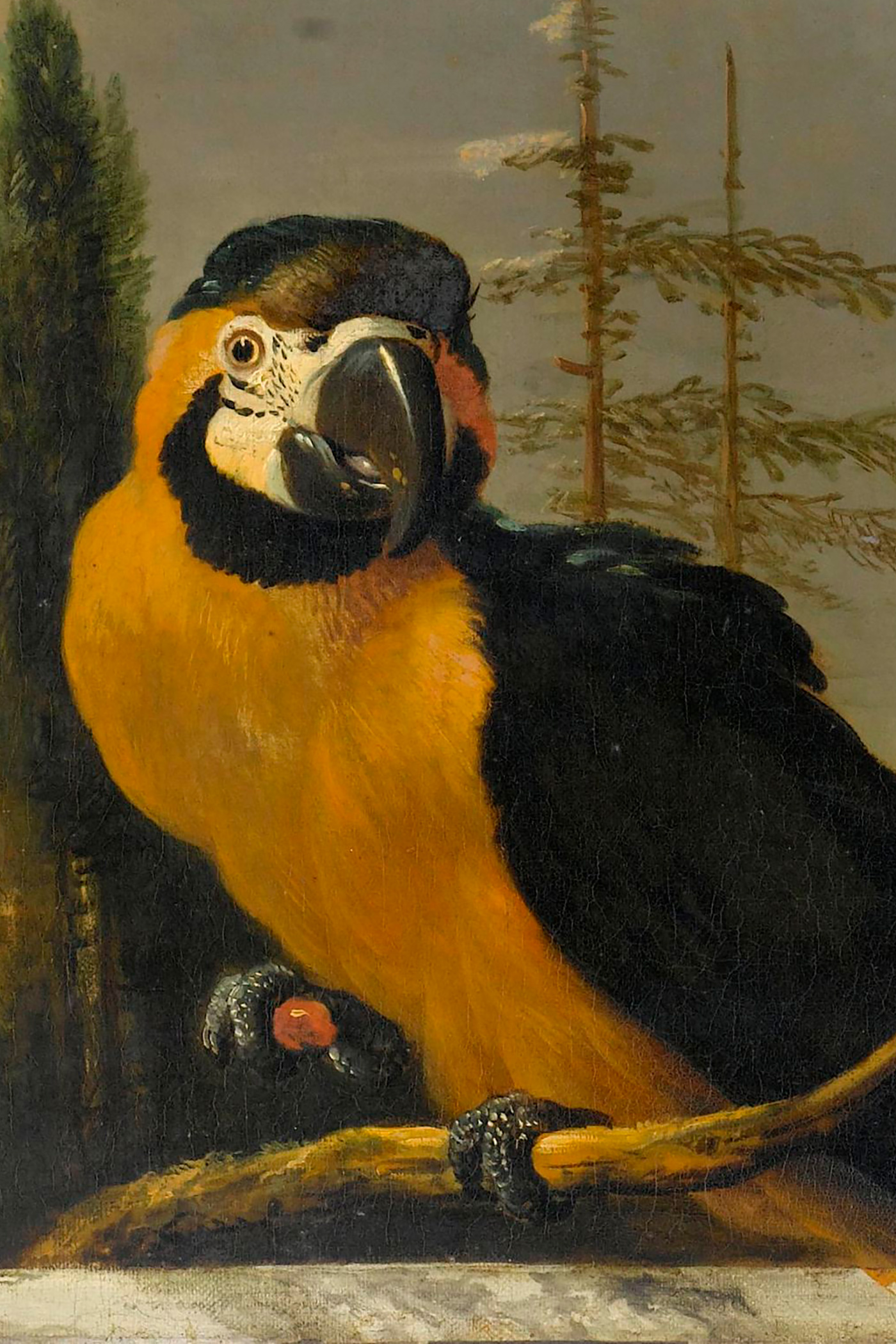 Cover for The Voyages of Doctor Dolittle