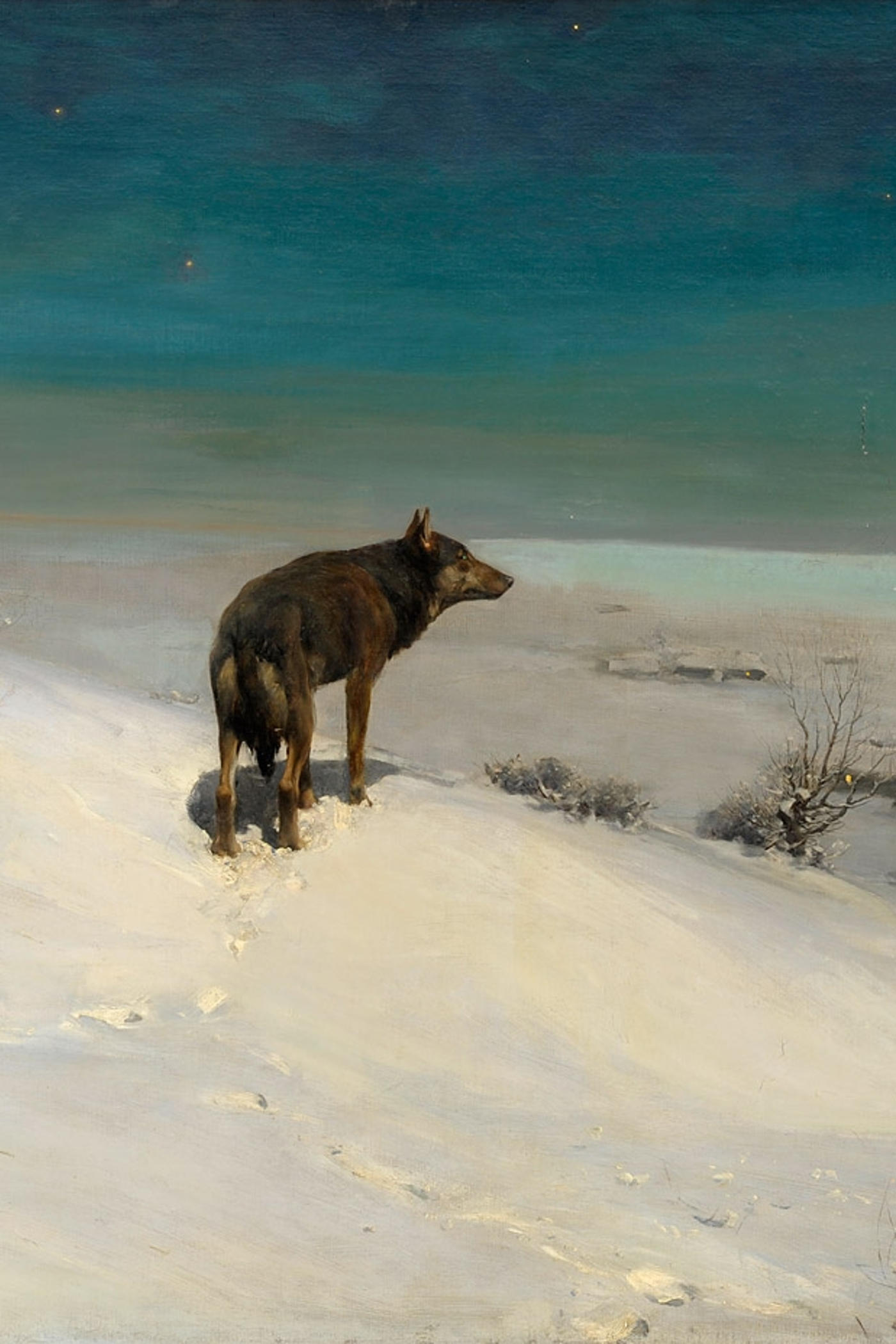 Cover for White Fang
