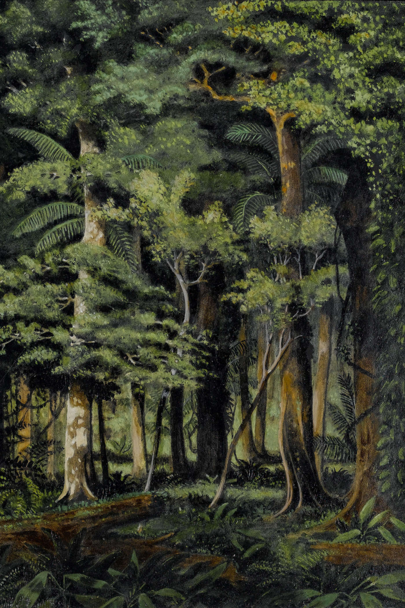 Cover for Heart of Darkness