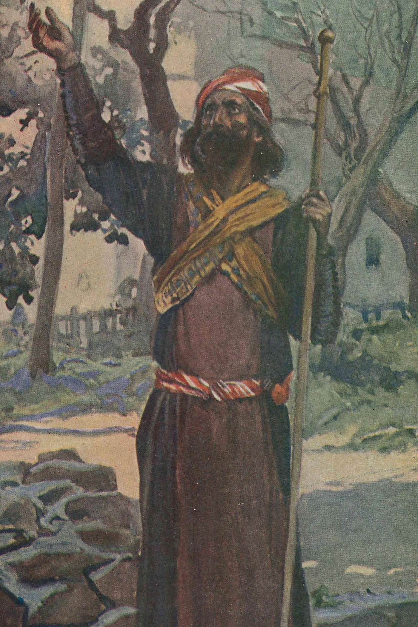Cover for The Madman