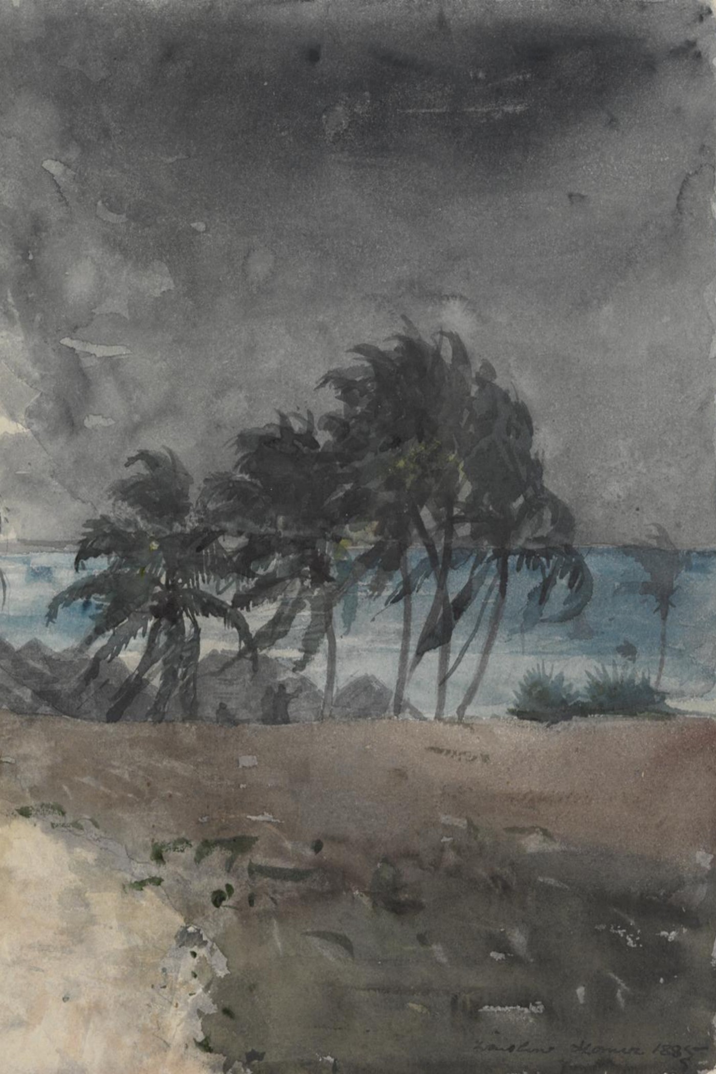 Cover for A High Wind in Jamaica