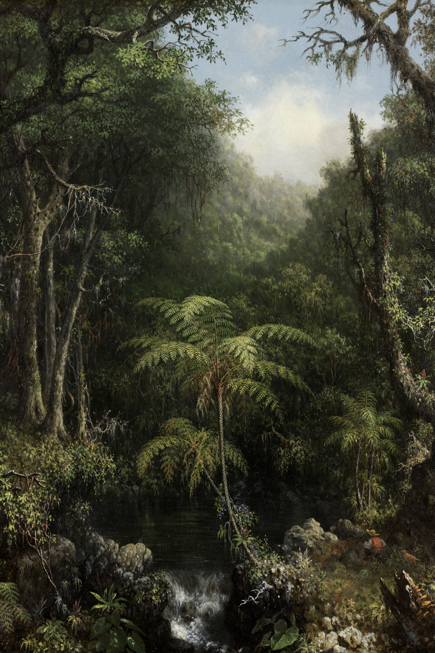Cover for Through the Brazilian Wilderness