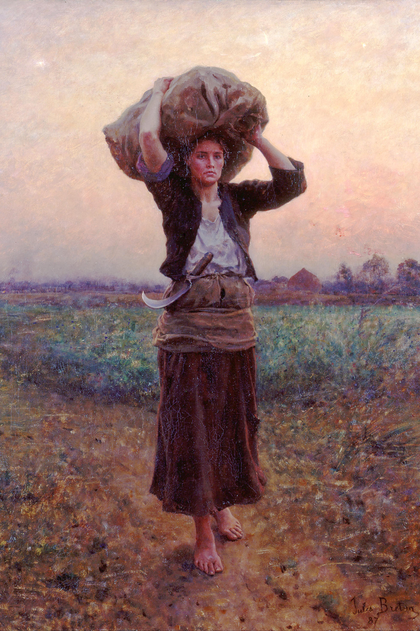 Cover for The Song of the Lark