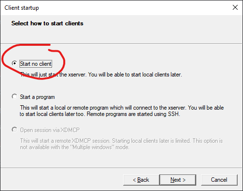 XLaunch Start no client