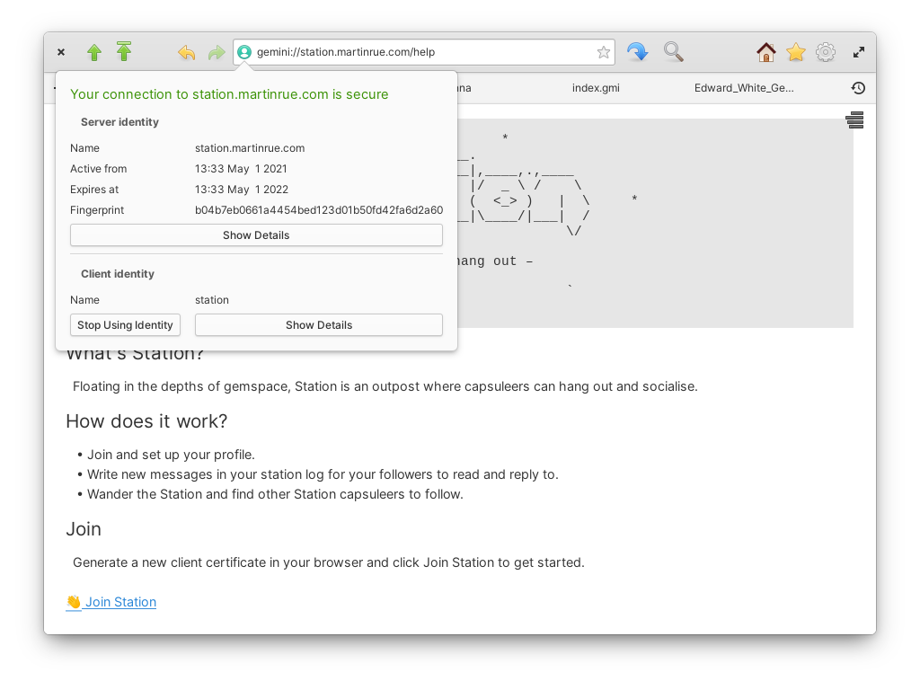 connection to Gemini sites is secured by both server and client certificates