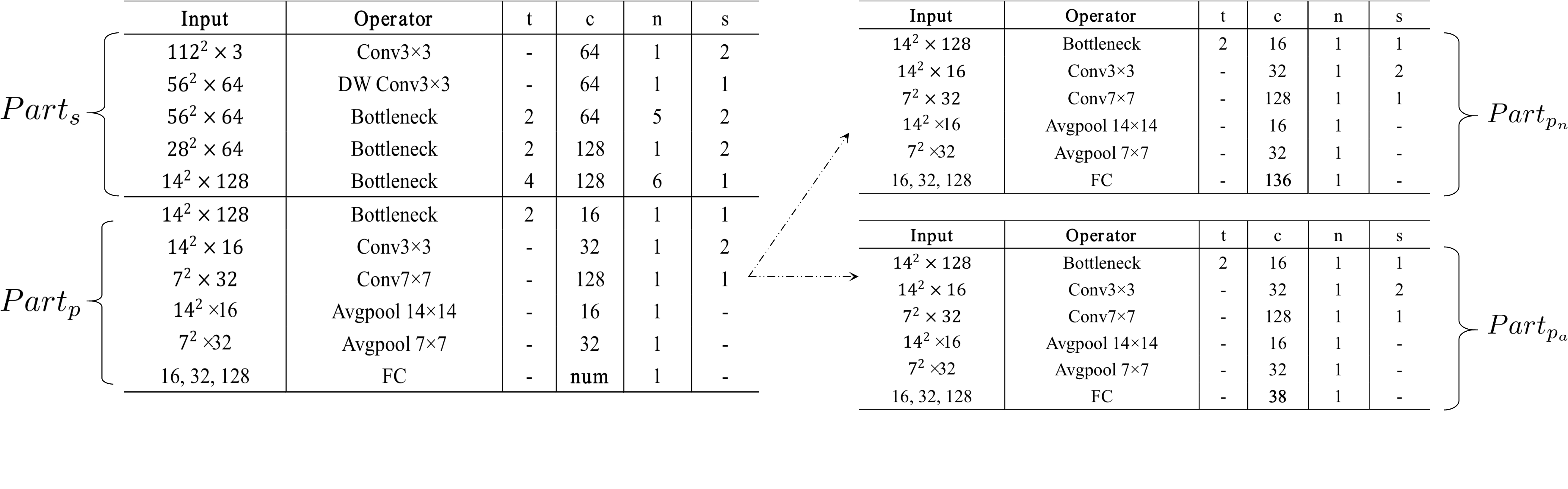 OCN structure