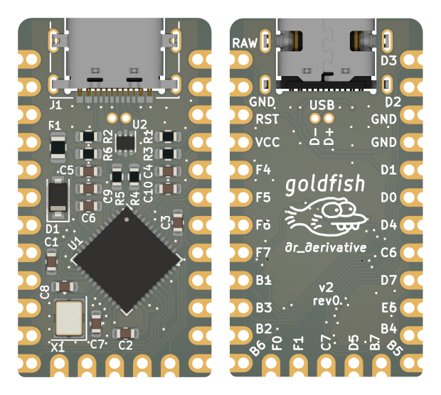 Goldfish, from the project README