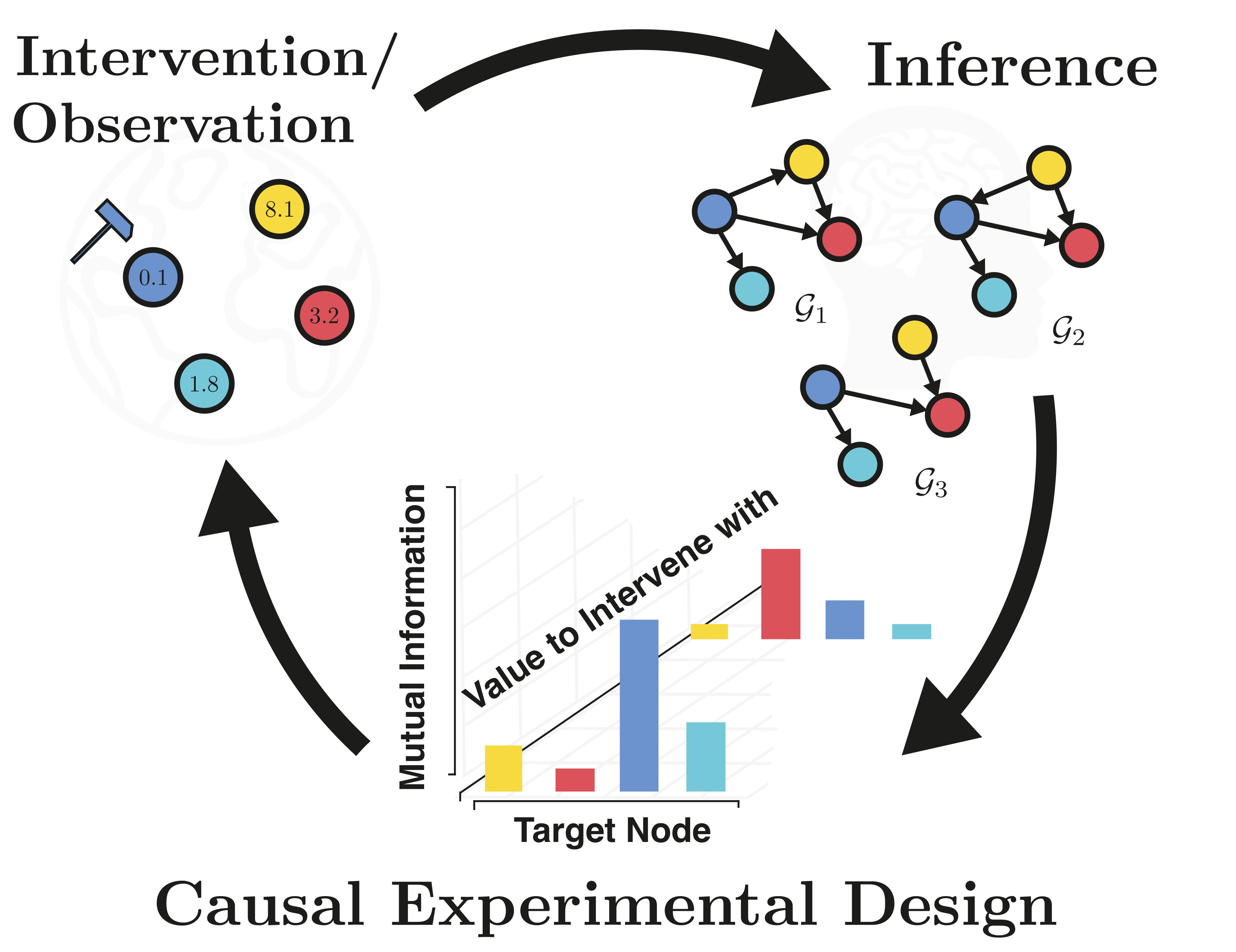 Causal Bayesian Experimental Design