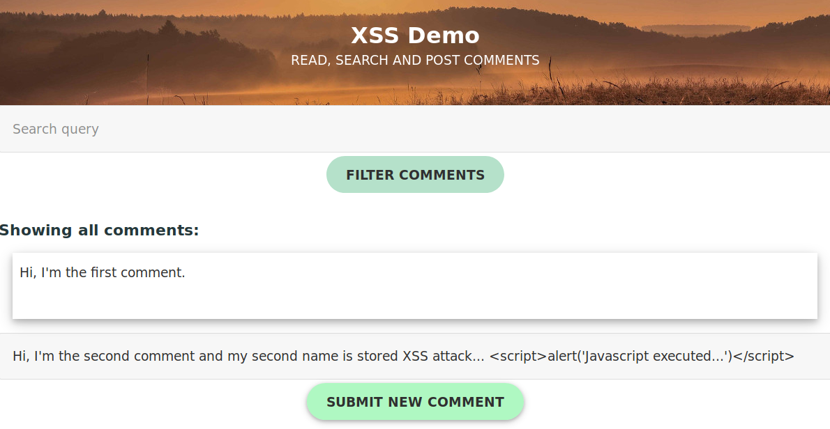 XSS Demo Screenshot