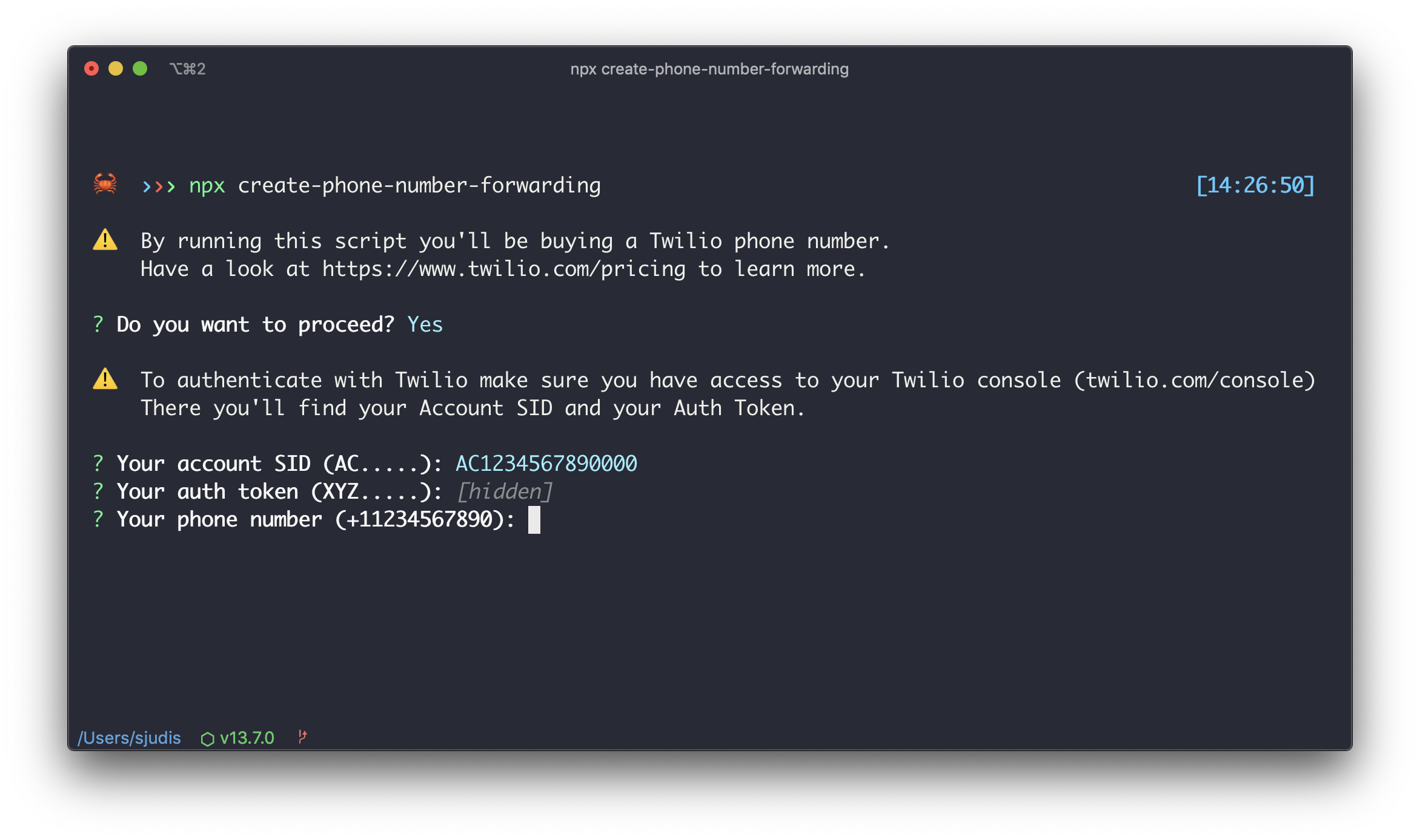 create-phone-number-forwarding in the terminal