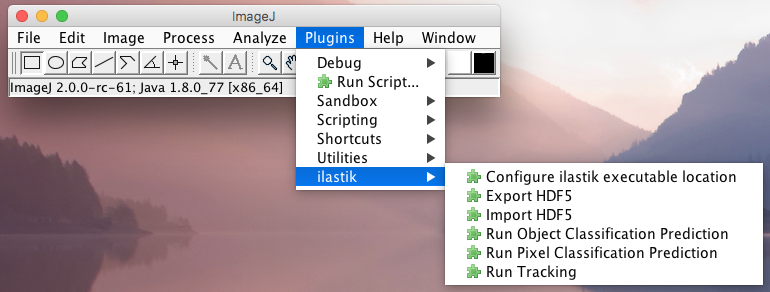 ImageJ Menu