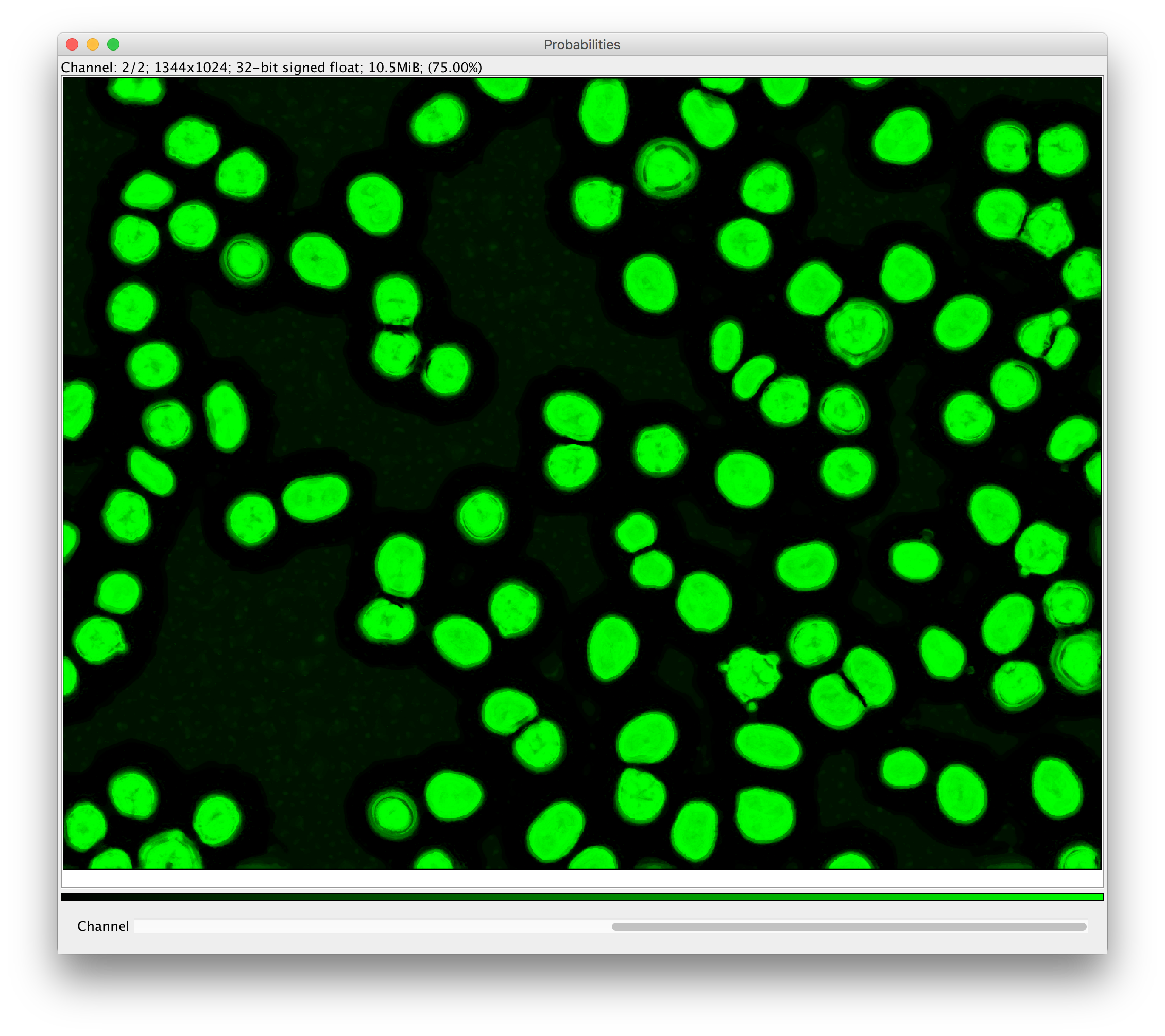 Pixel Classification Output: Probabilities