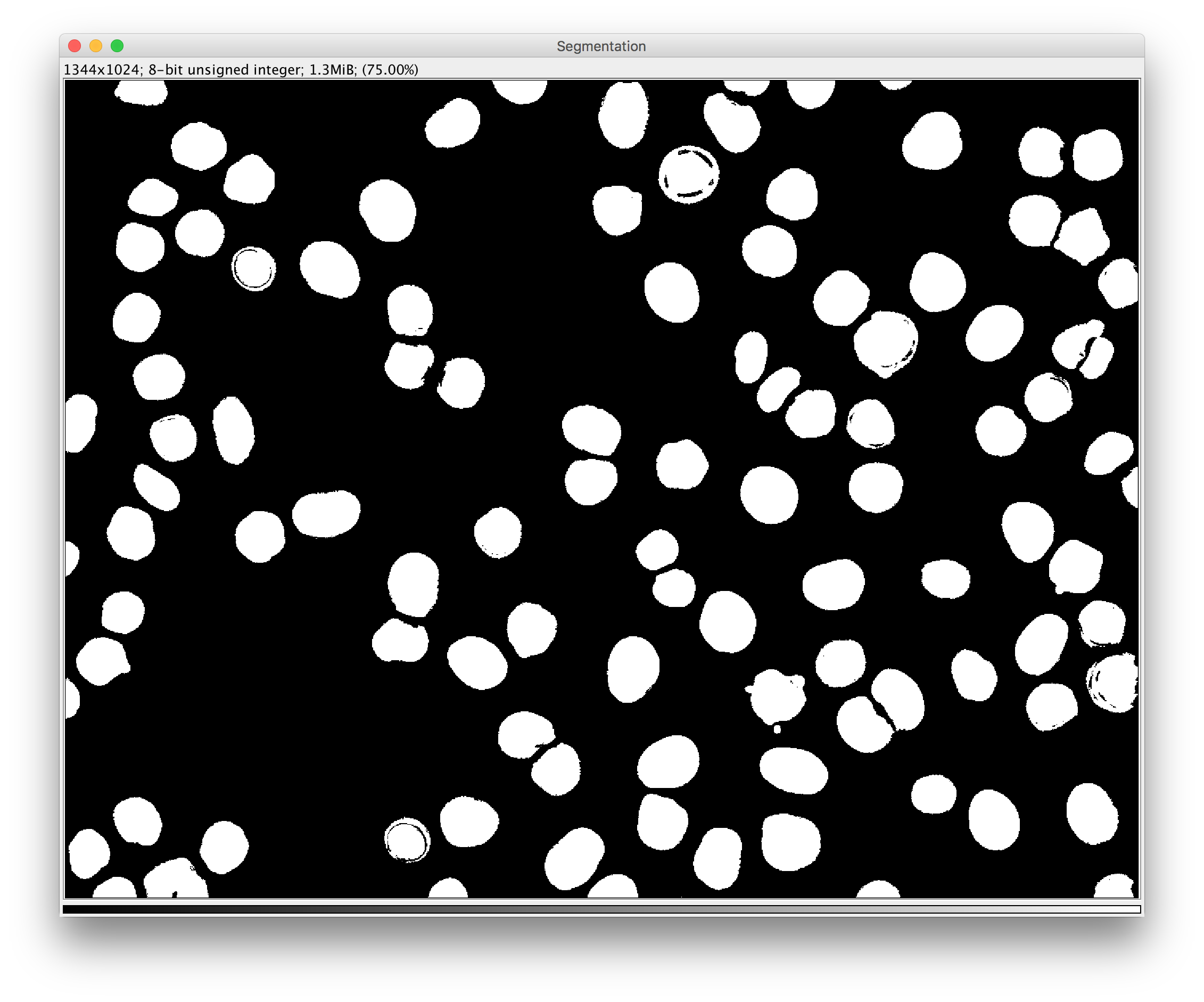 Pixel Classification Output: Segmentation