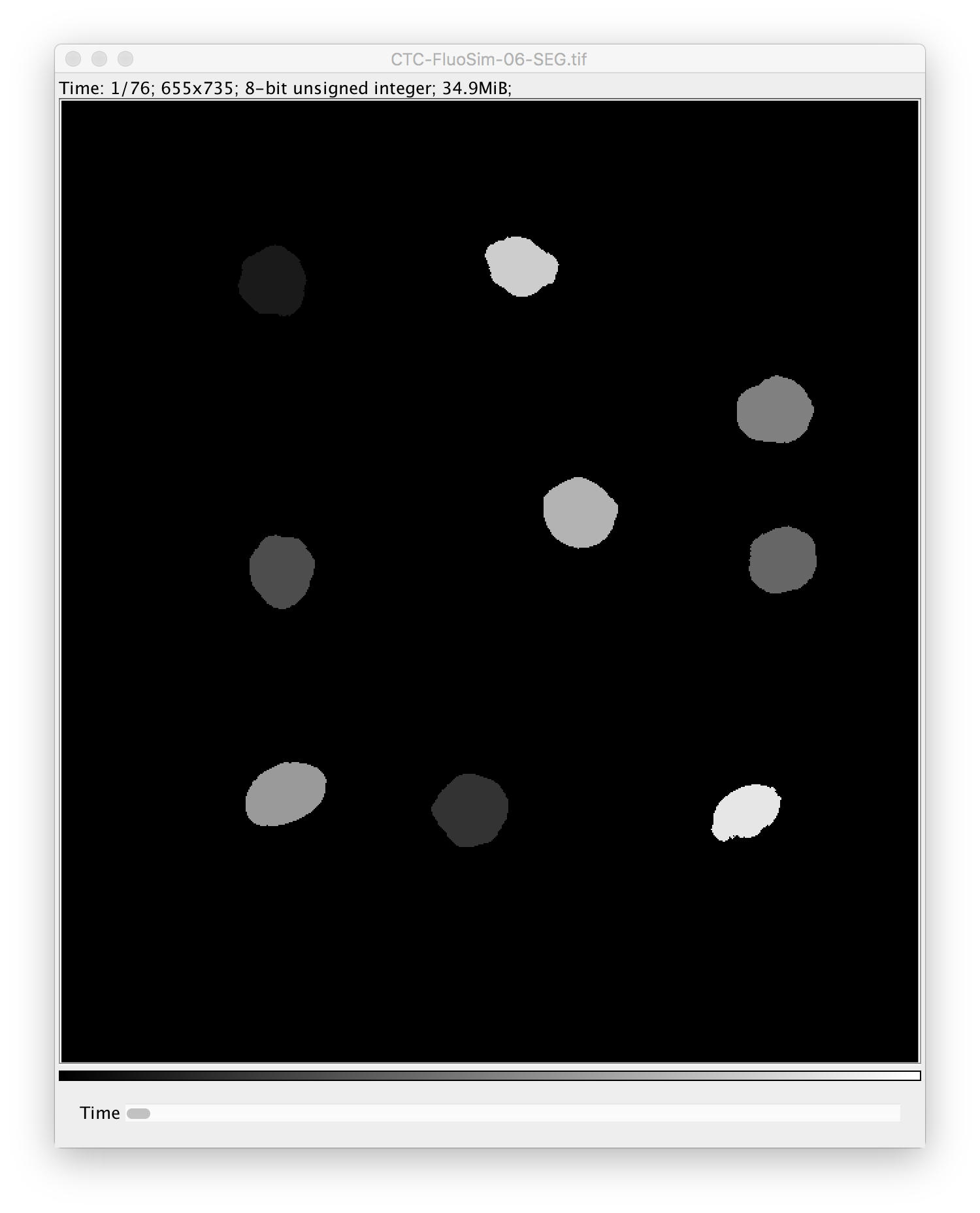 Tracking Segmentation Input