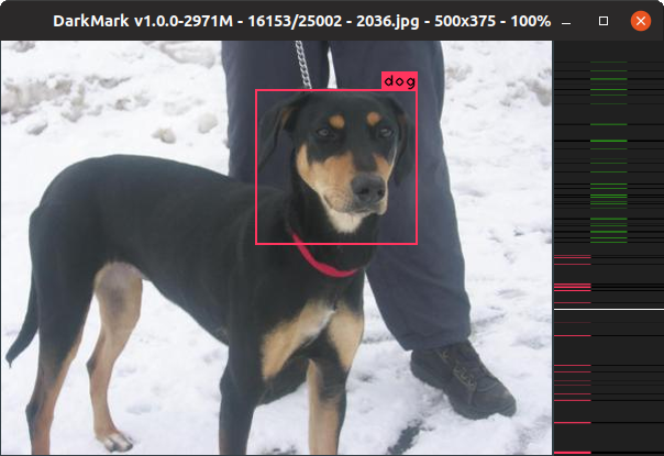 DarkMark editor window with annotated image of a dog