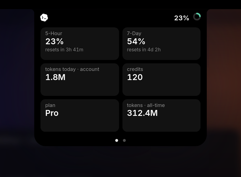 Codex page: 5-Hour and 7-Day windows, tokens today, credits, plan and all-time tokens