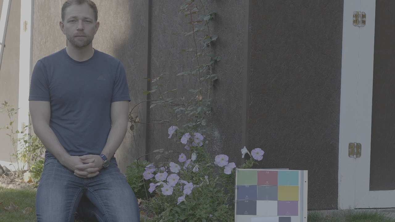 Image Colab Colorref Google Colab