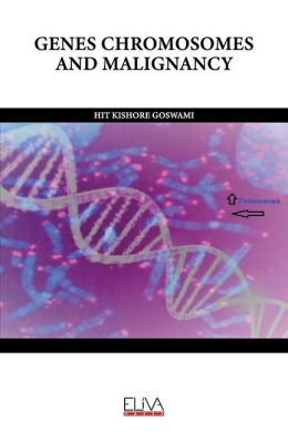 https://raw.githubusercontent.com/stevesteve2020-lab/img1/refs/heads/main/HjHjOnGJNOpY0XygSO.jpeg