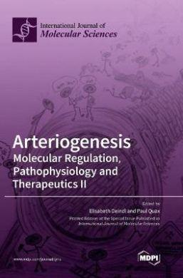 https://raw.githubusercontent.com/stevesteve2020-lab/img1/refs/heads/main/OXNgnLyPIQ5vGzSBMO.jpeg