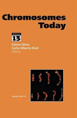 https://raw.githubusercontent.com/stevesteve2020-lab/img1/refs/heads/main/WGN1EgRYSEYEe7GuiW.jpeg