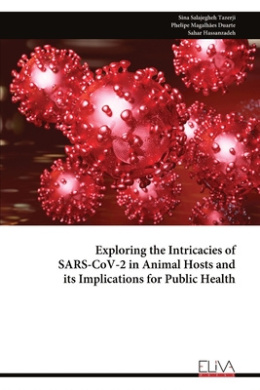 https://raw.githubusercontent.com/stevesteve2020-lab/img1/refs/heads/main/lQM12JrBsynmeJ9asG.jpeg
