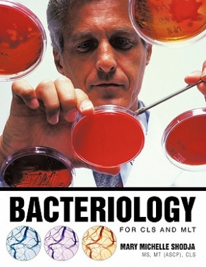 https://raw.githubusercontent.com/stevesteve2020-lab/img1/refs/heads/main/viB99Ol1XpMKoKKbPM.jpeg