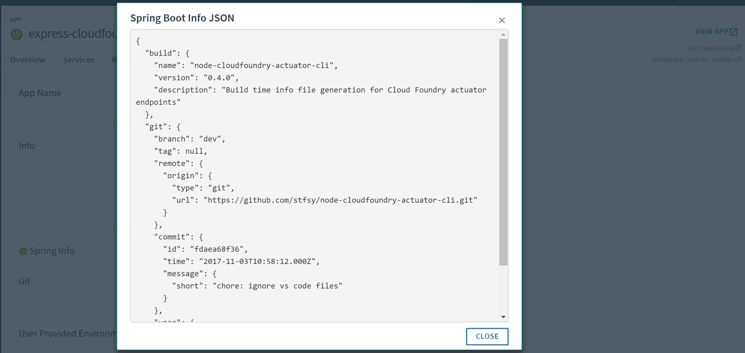 Cloud Foundry App settings with app info popup