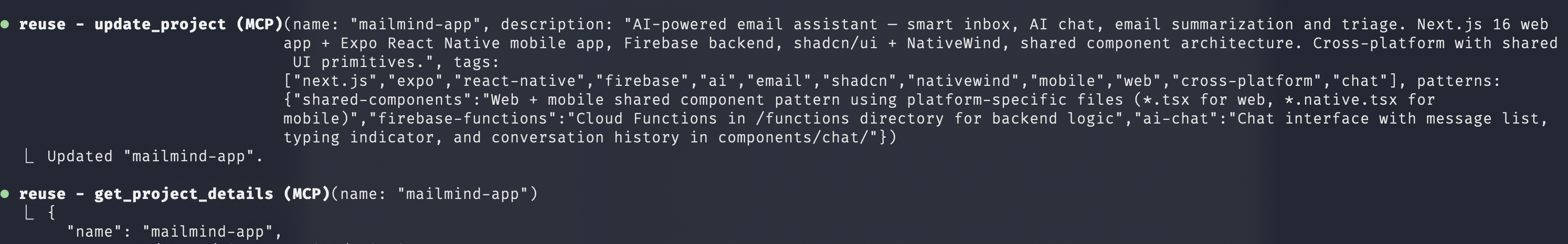 Terminal showing AI using update_project and get_project_details MCP tools