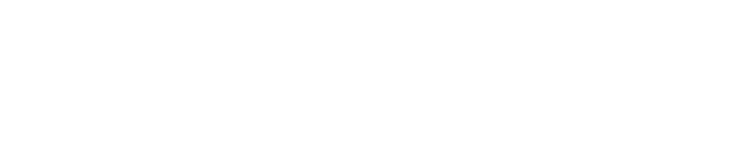 Storj logo