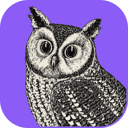 FilmCraft icon: an engraved owl on a purple tile