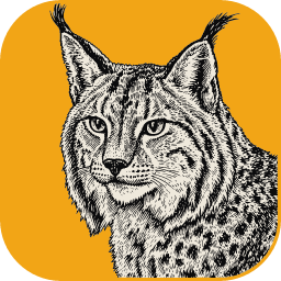 LightCraft icon: an engraved lynx on an amber tile