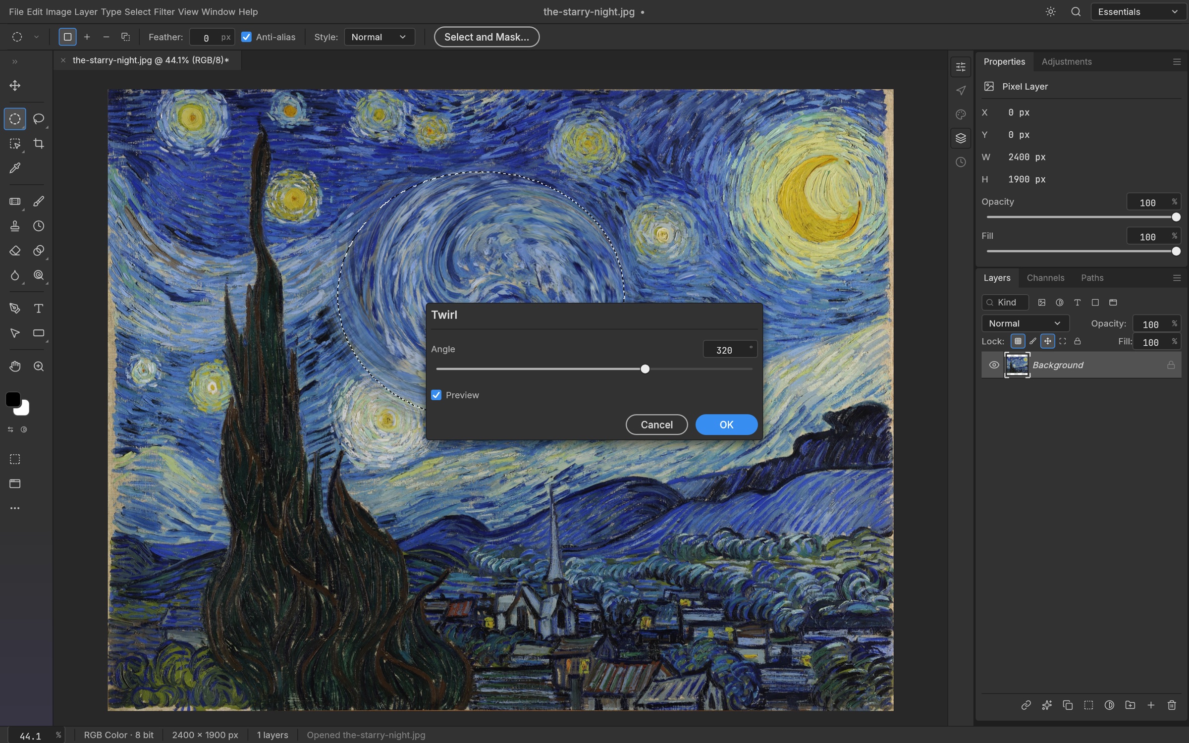 The Twirl filter previewed live on the canvas