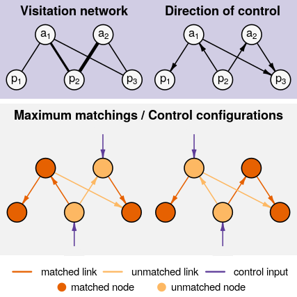 Graphical abstract explaining the structural controllability of networks