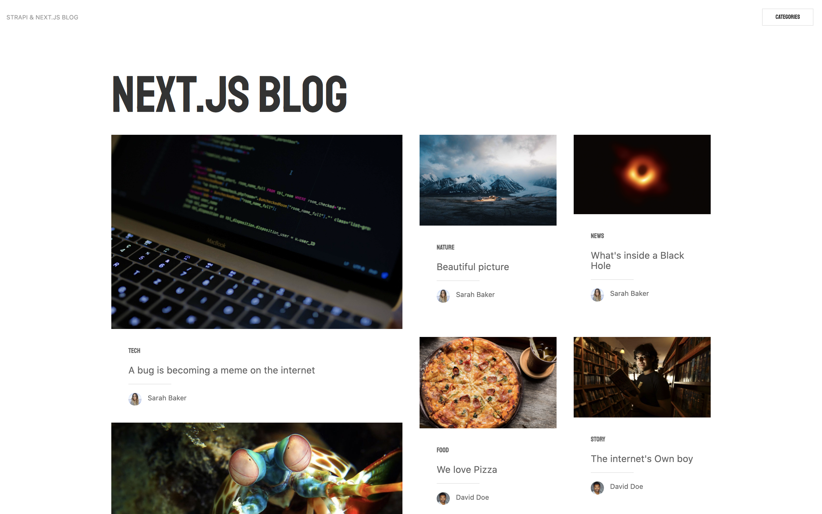 Strapi Next Js Blog Starter