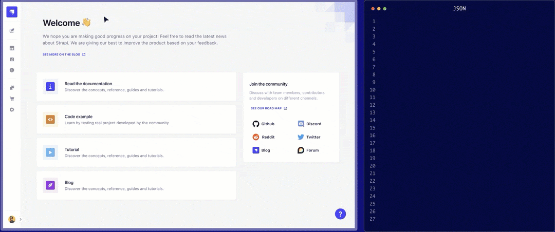 Strapi Admin Panel