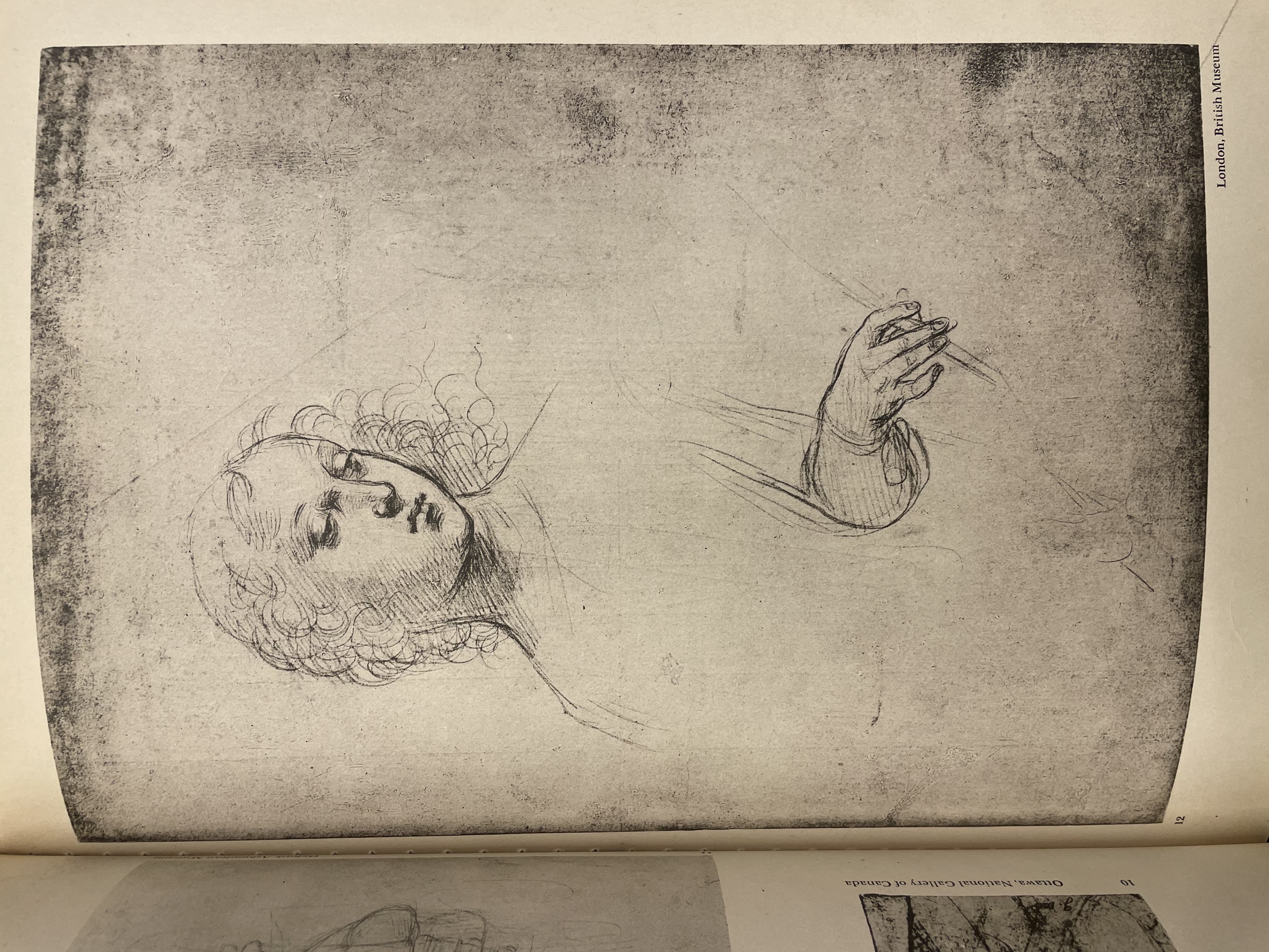 Head and shoulders of a young woman, looking down by Leonardo da Vinci (c. 1508)