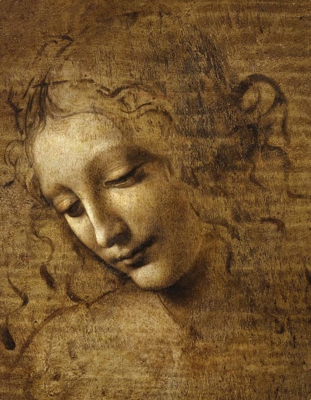 Head of a Woman (La Scapigliata) by Leonardo da Vinci (c. 1508)
