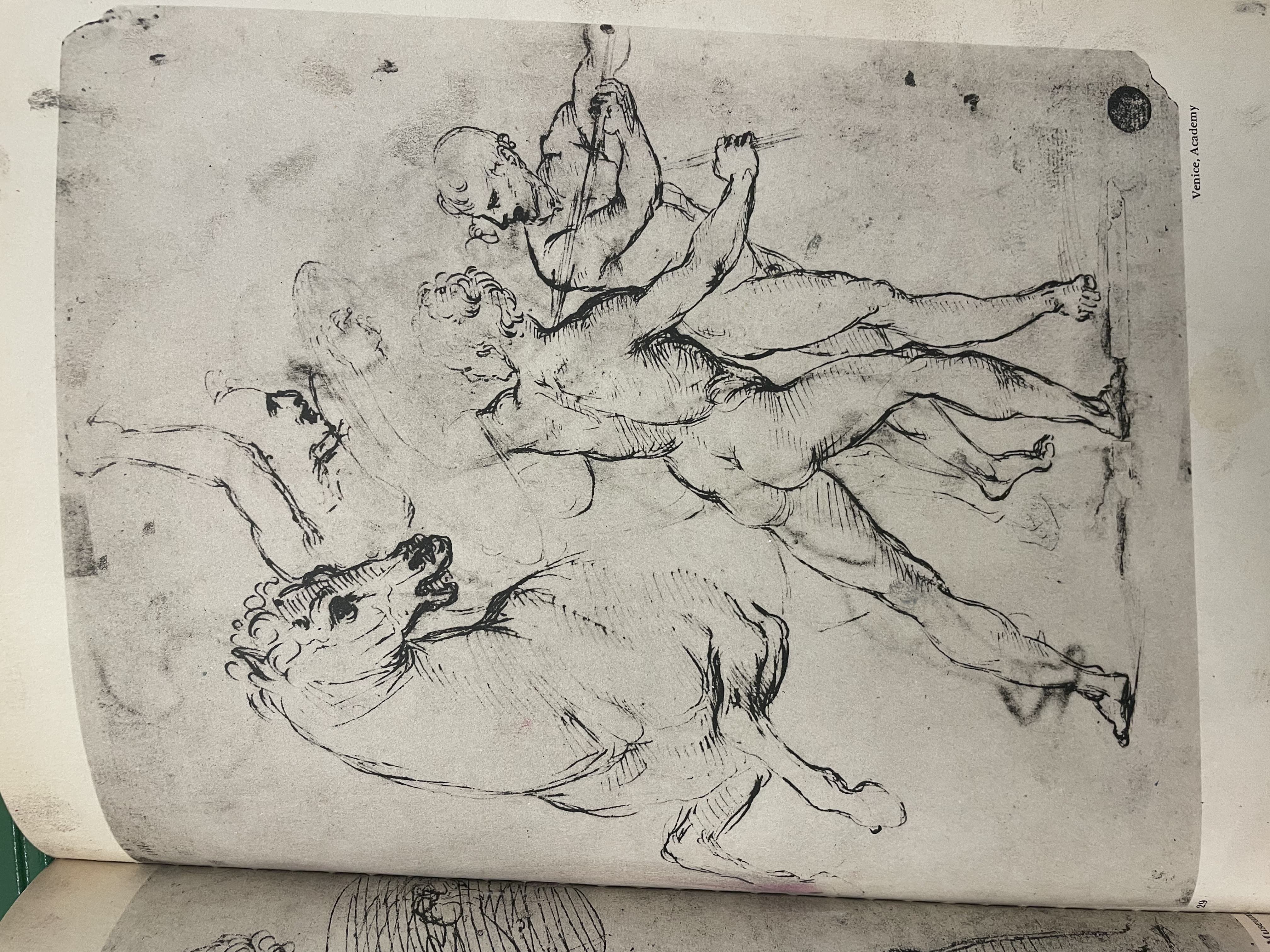 Studies of Nude Figures and a Rearing Horse by Leonardo da Vinci (c. 1503)