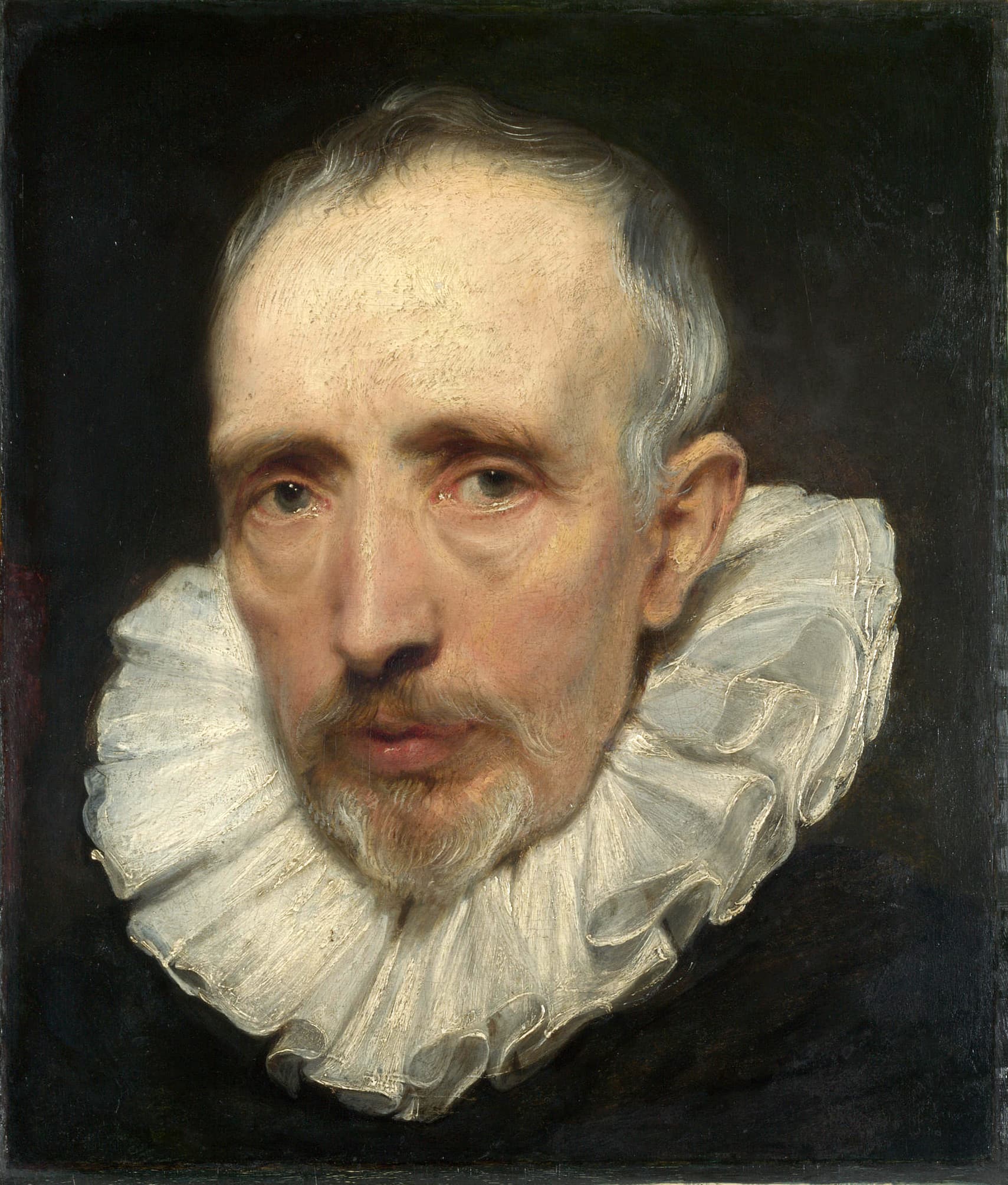 Head of a Man with a Ruff by Peter Paul Rubens (c. 1618-1620)