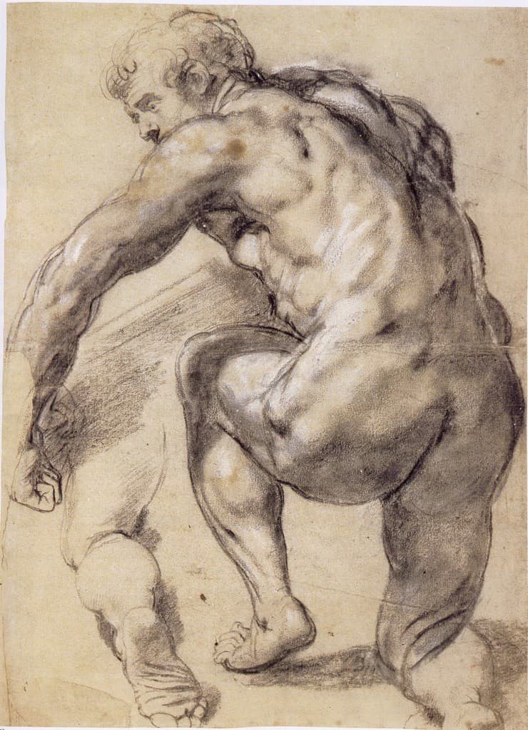Study of a Nude Man, Seen from Behind by Peter Paul Rubens (c. 1609–1610)