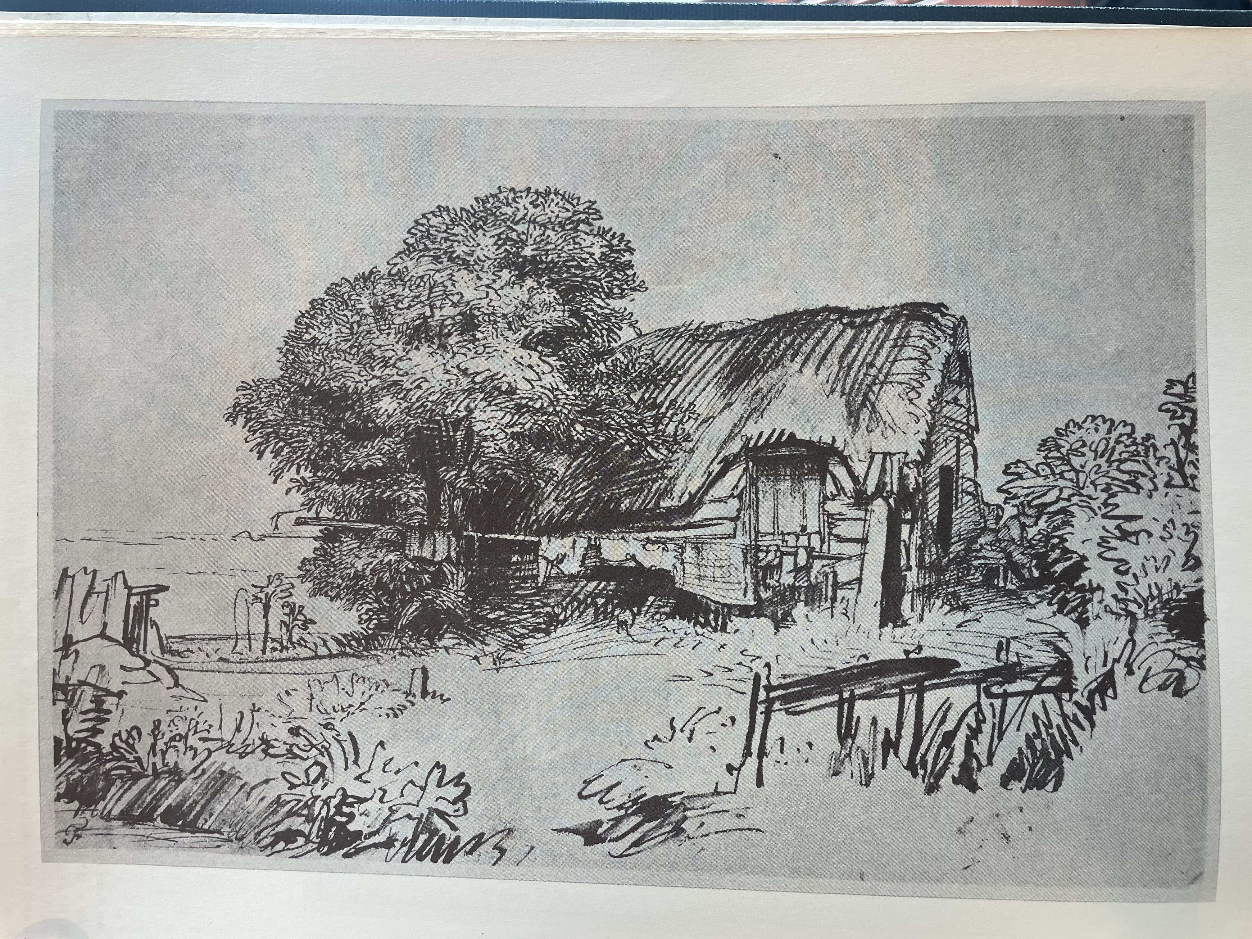 The Cottage with the Thatched Roof and a Large Tree by Rembrandt Harmenszoon van Rijn (c. 1640)