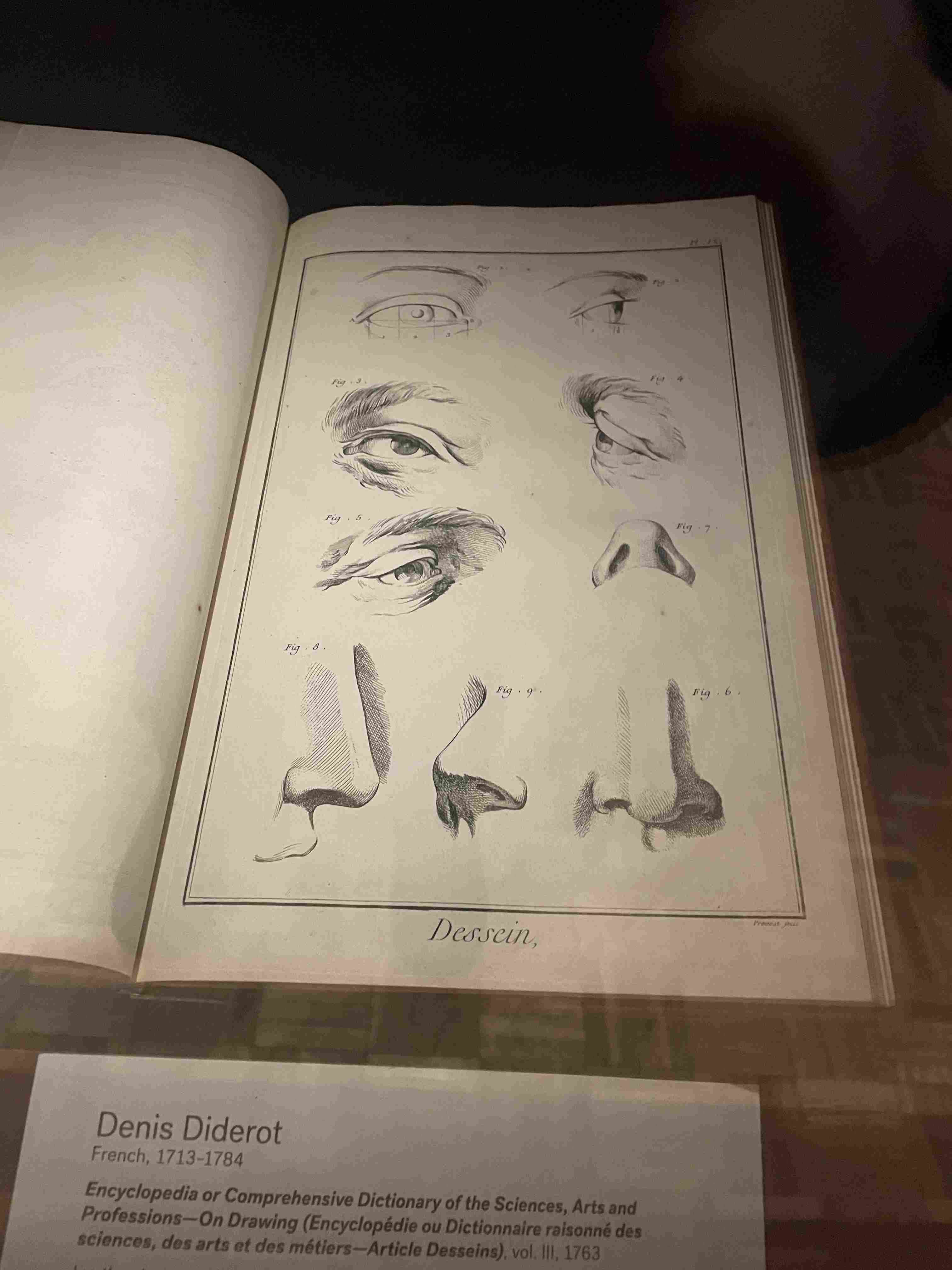 Engraving of Anatomical Studies of Human Eyes and Noses (Plate titled 'Dessein') (1763)