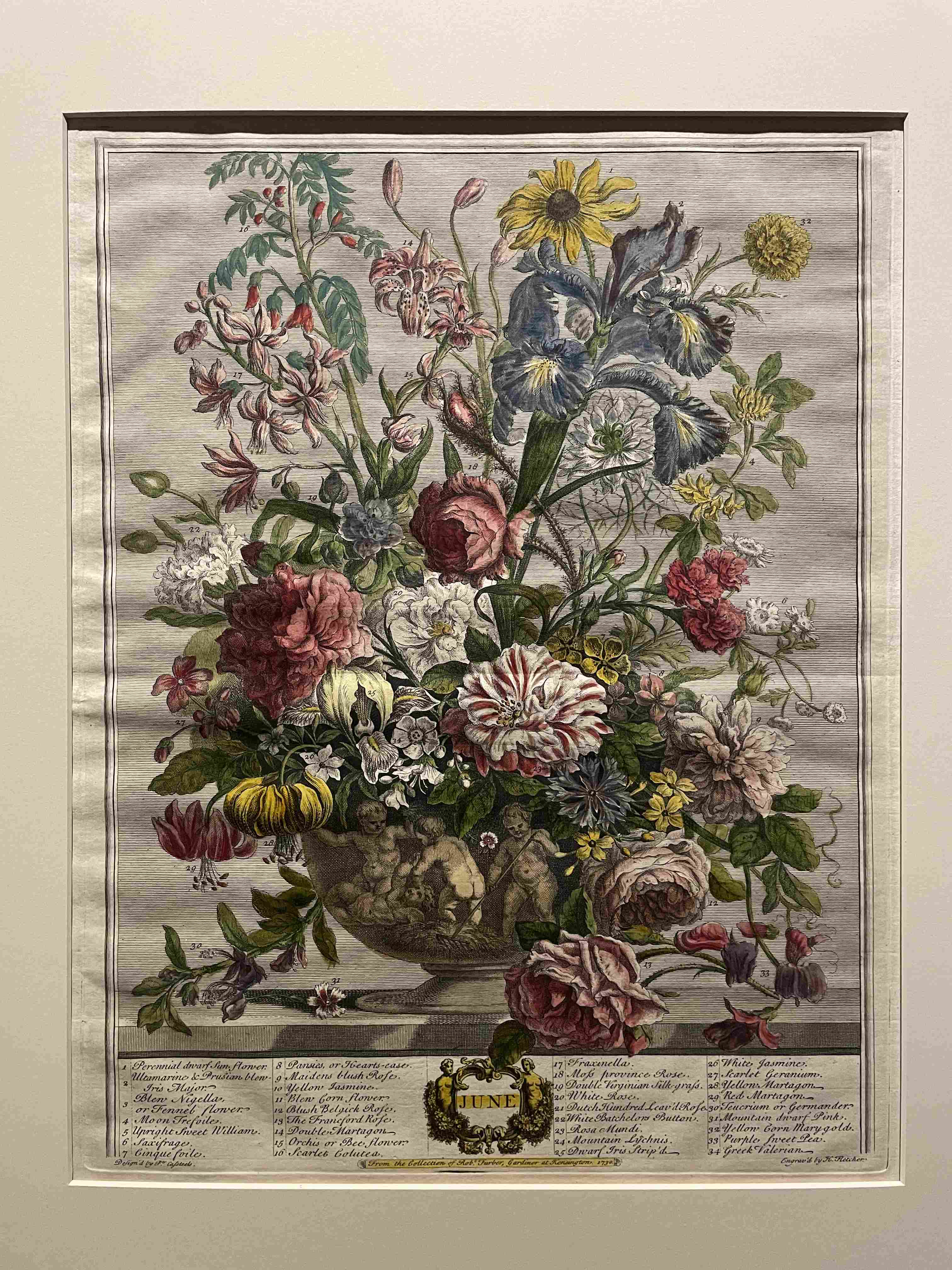 June (from The Twelve Months of Flowers) by Pieter Casteels III (1730)