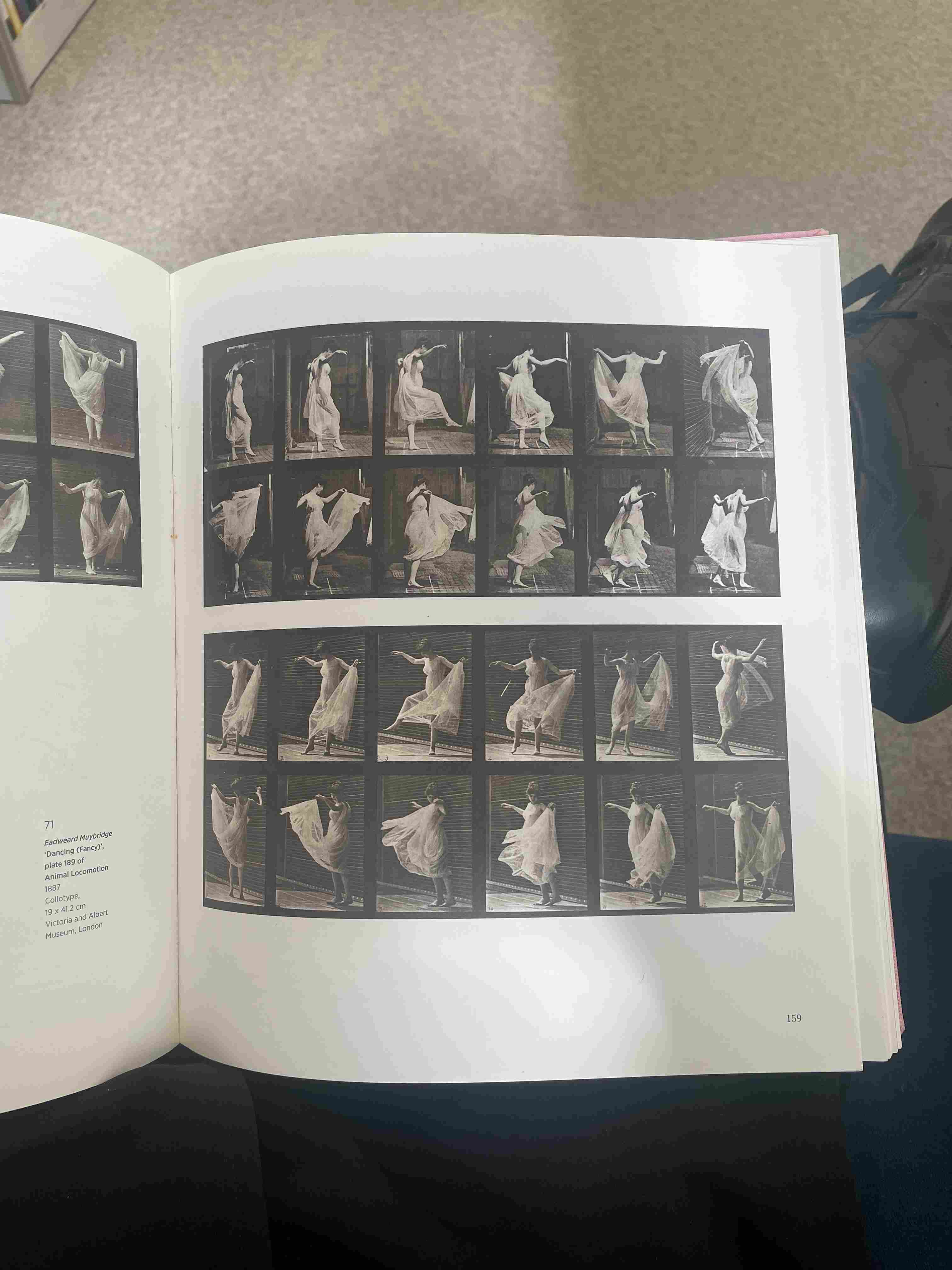 Dancing (Fancy), plate 189 of Animal Locomotion by Eadweard Muybridge (1887)