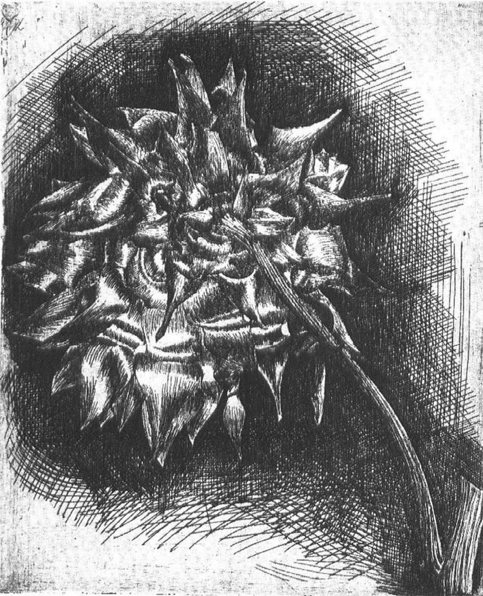 Tête de Chardon (Thistle Head) by Odilon Redon (c. 1880)