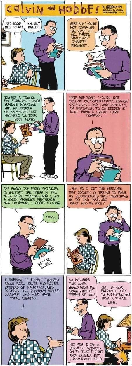 Calvin and Hobbes Comic Strip (May 23, 1994) by Bill Watterson (1994)