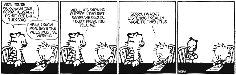 Calvin is Focused on His Report (Daily Strip) by Bill Watterson (1992)