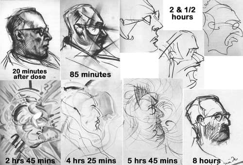 Drawings made by an artist under the influence of LSD (1959)