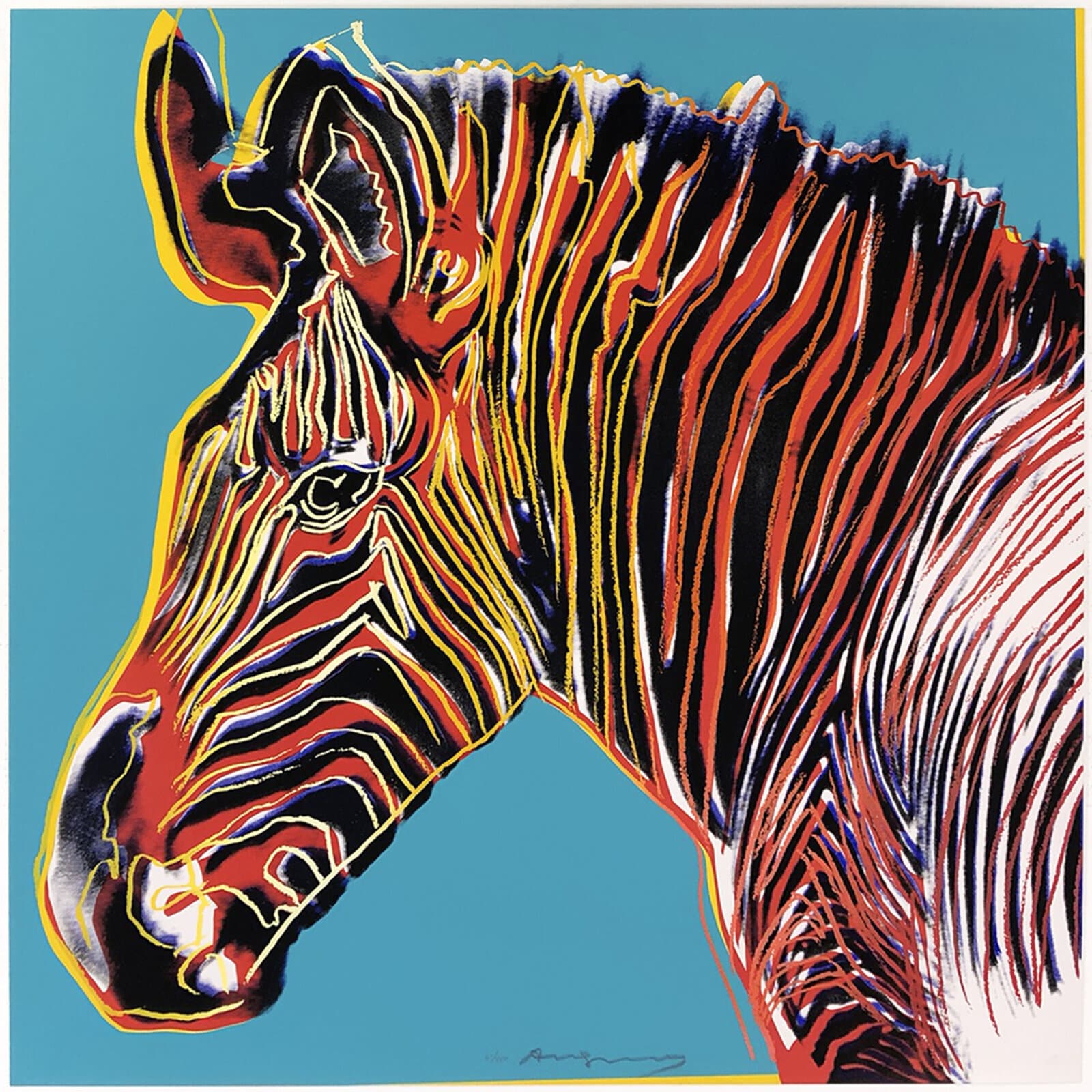 Grevy's Zebra (from Endangered Species) by Andy Warhol (1983)